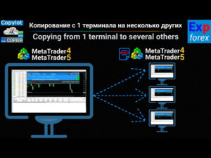 Exp Copylot Client MT5