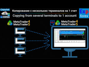 Exp Copylot Client MT5