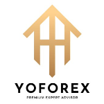 YoForex