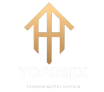 YoForex