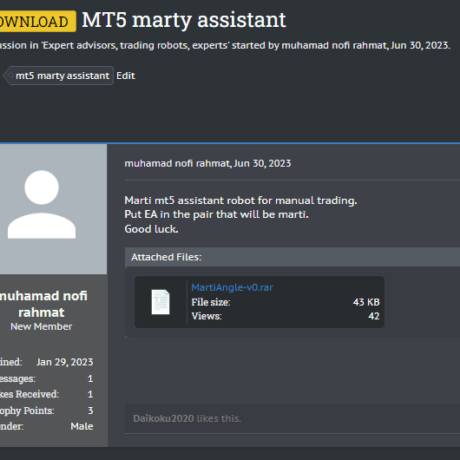 MT5 marty assistant