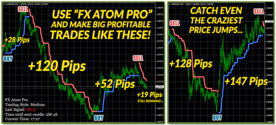 FX Atom Pro analogue Indicator