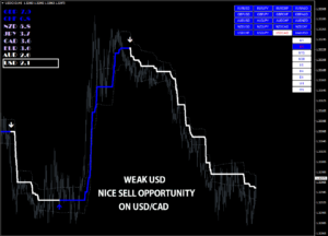 FX VOLCANO (2) Indicator MT4