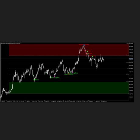 Belly System Indicator MT5