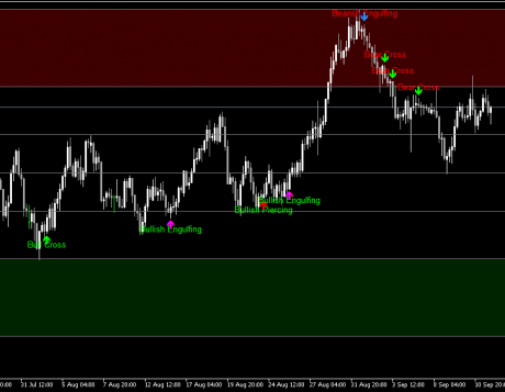 Belly System Indicator MT5