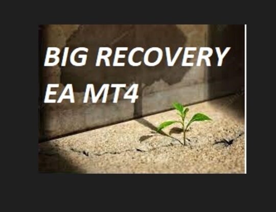 BIG RECOVERY