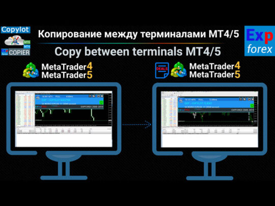 EXP COPYLOT Master Market MT5