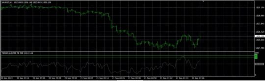 Custom Trend Hunter Indicator MT4