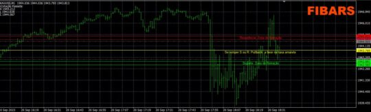 Estrella Azul Novo Brazilian Indicator MT4