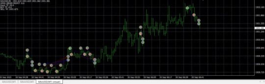 FEDTM Hedge EA V2.1 MT4