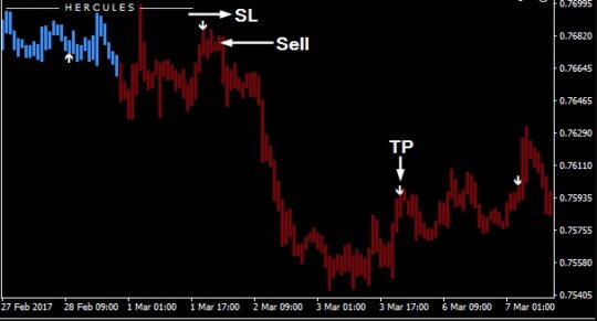 Forex Hercules DW Indicator MT4