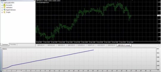 Forex Kingle Hedger EA MT4