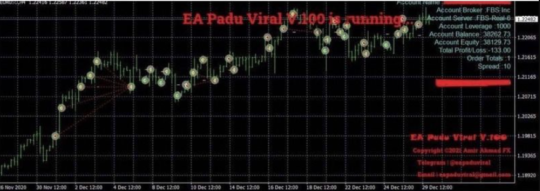 EA Padu Viral V1.00 MT4