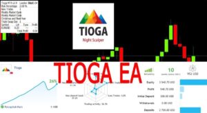 Tioga V2.9 EA MT4