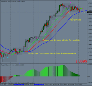 I Trade AIMS Indicator MT4