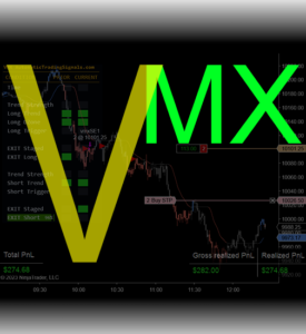 Day Trading Systems VMX and VRX for Ninja Trader