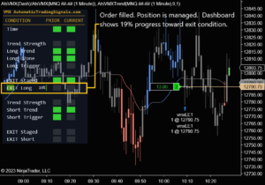 Day Trading Systems VMX and VRX for Ninja Trader