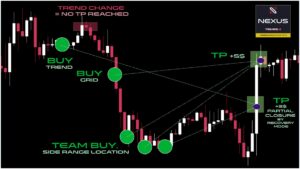 Nexus EA Forex V6.41 MT4