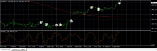 Stochastic Cross 533 EA MT4