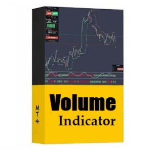 Volume Indicator MT4