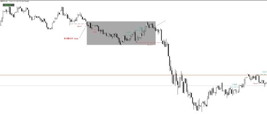 Master Trader Secrets Indicator MT4