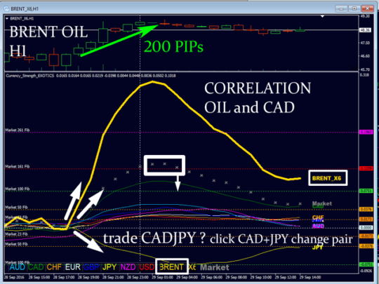 Currency Strength Exotics Indicator V3.0 MT4 No DLL