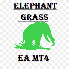 ELEPHANT GRASS EA MT4