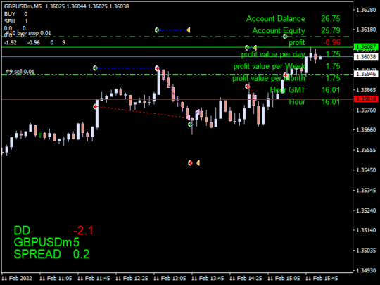 Ninja Forex EA MT4