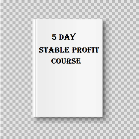 5 Day Stable Profit Course