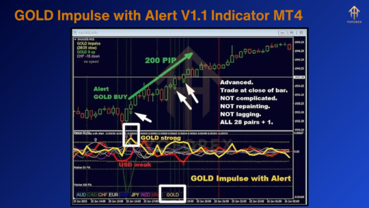 GOLD Impulse with Alert V1.1 Indicator