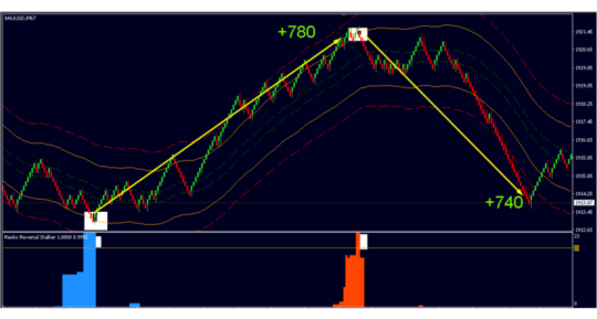 Renko Reversal System MT4