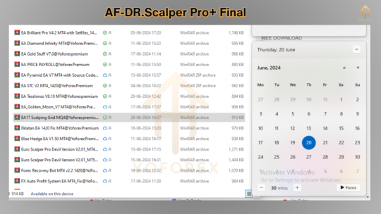 AF-DR.Scalper Pro+ Final