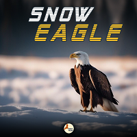 Snow Eagle EA V1.42 MT4