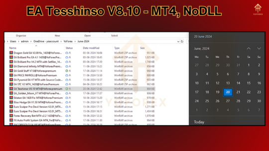 EA Tesshinso V8.10