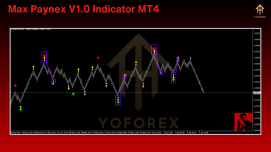Max Paynex Indicator V1.0