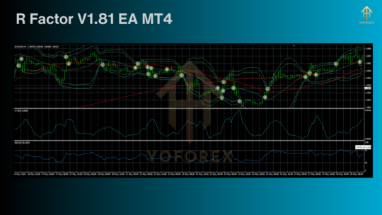 R Factor V1.81 EA