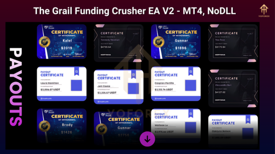 The Grail Funding Crusher EA V2