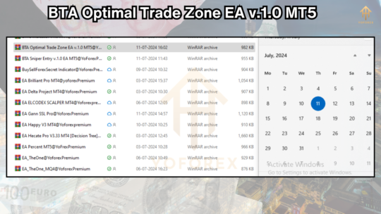 BTA Optimal Trade Zone EA v.1.0