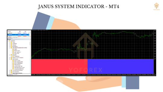 JANUS SYSTEM INDICATOR (2)