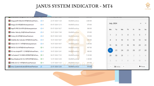 JANUS SYSTEM INDICATOR (2)