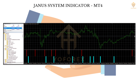 JANUS SYSTEM INDICATOR (2)