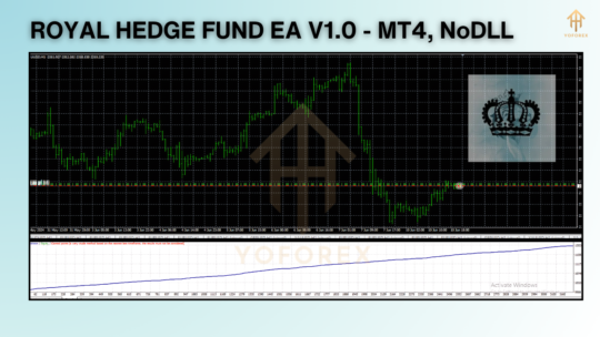 ROYAL HEDGE FUND EA