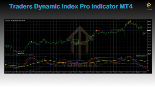 Traders Dynamic Index Pro Indicator