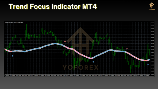 Trend Focus Indicator