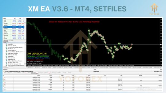 XM EA V3.6 MT4