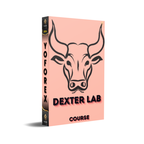 Dexter Lab Course