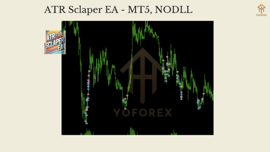 ATR Scalper EA MT5