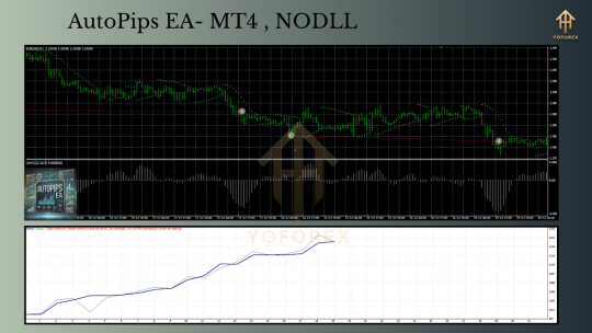 AutoPips EA MT4