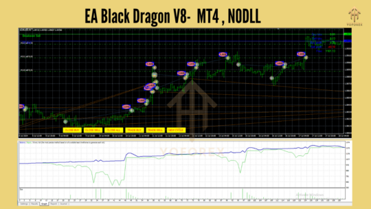 EA Black Dragon V8 MT4