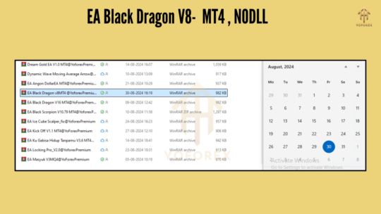 EA Black Dragon V8 MT4